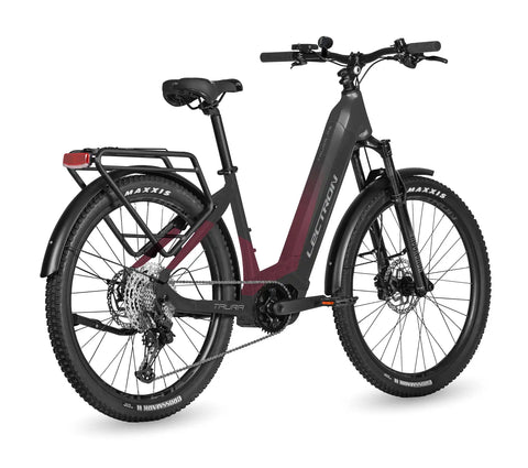 Taura PS 19"